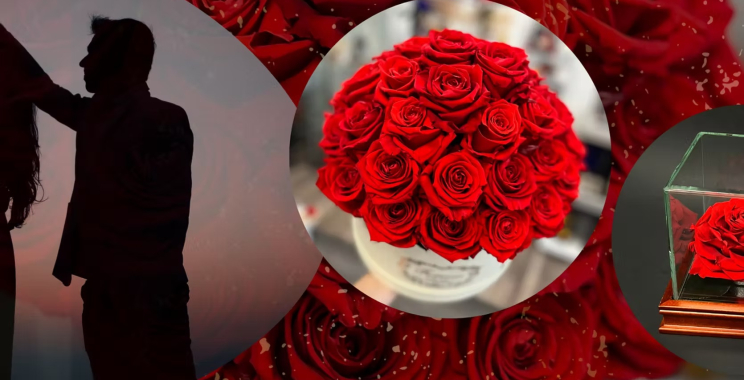 Timeless Bouquets of Forever Roses for Every Moment