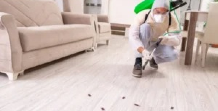 Comprehensive End of Lease Pest Control Guide for Tenants