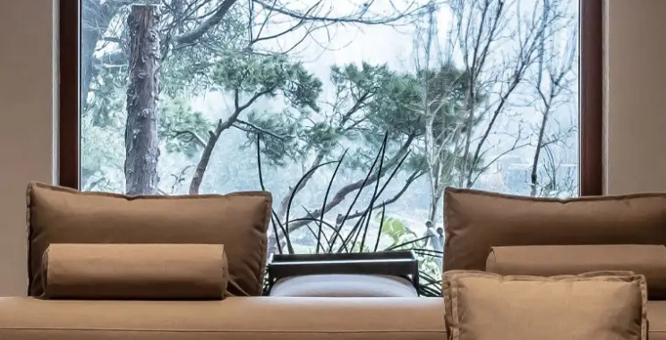 Professionelles WordPress Design in Deutschland – modern & performativ