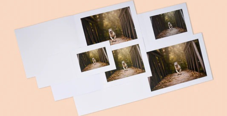 Organise Your Memories: A Stylish Way to Save Your Photos