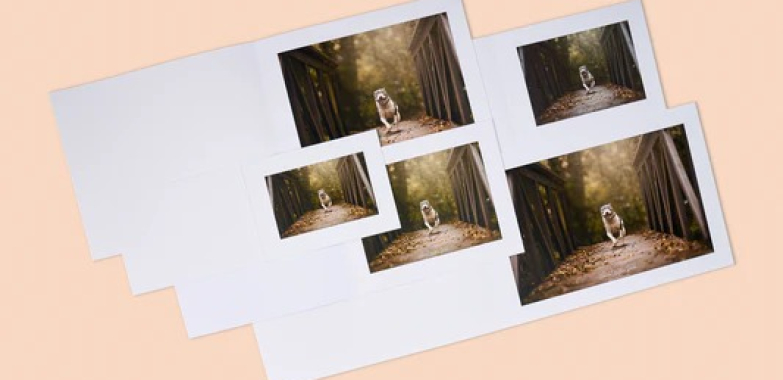 Organise Your Memories: A Stylish Way to Save Your Photos