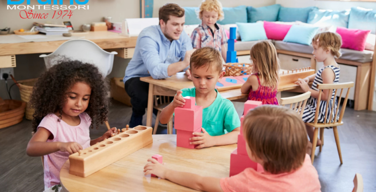 Discover Hands-On Biology Tools for Montessori Learning