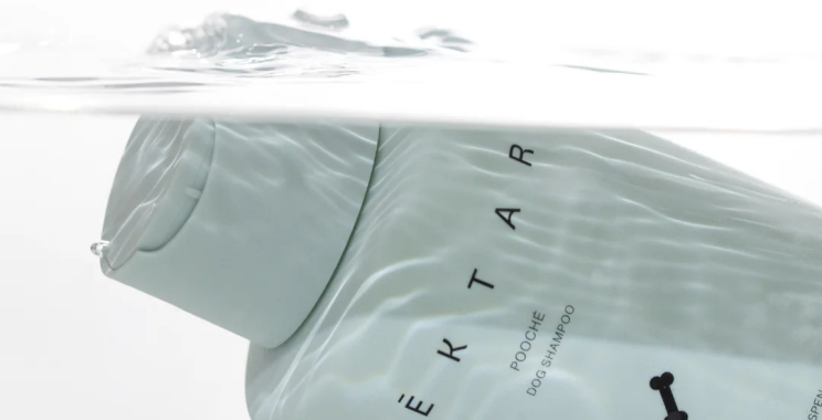 Discover the Scent: Nektar-Inspired Fragrances for Everyday Grace