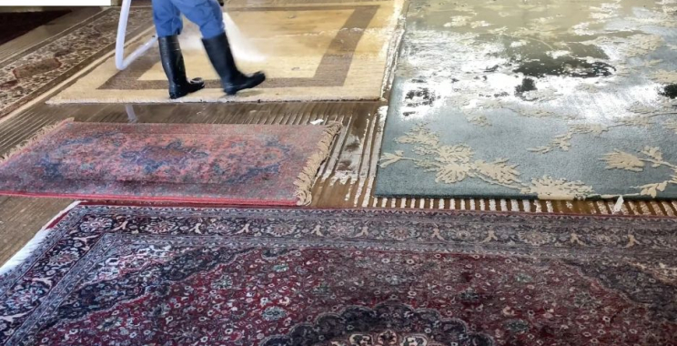 Premium Rug Care in Walnut Creek — Fresh, Clean, Lasting Results