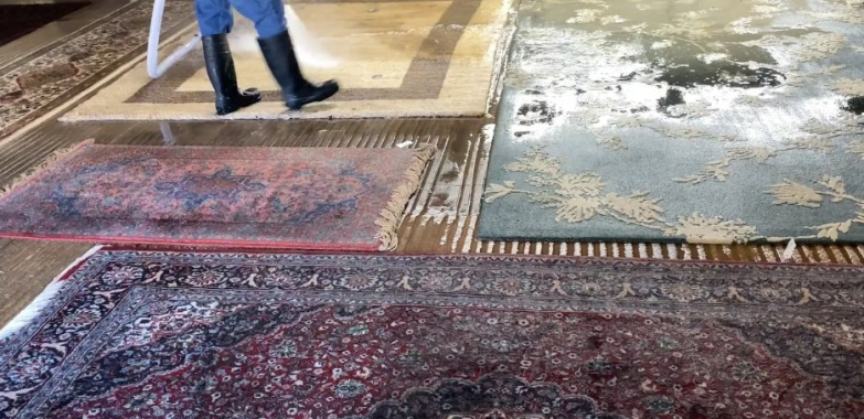 Premium Rug Care in Walnut Creek — Fresh, Clean, Lasting Results