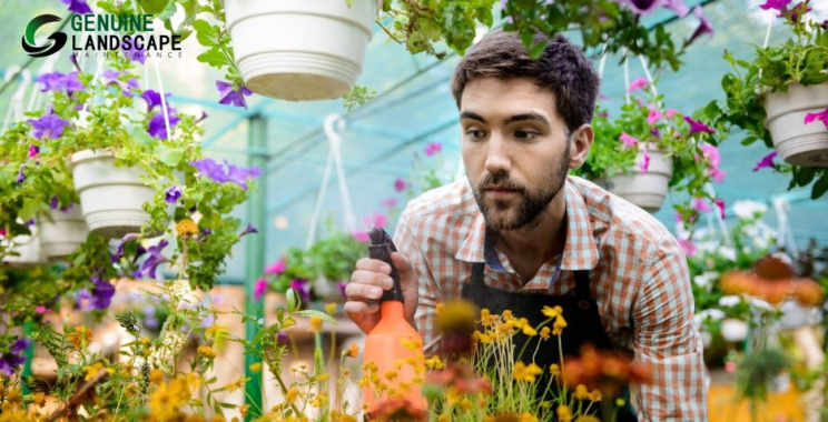 Top-notch Sydney garden care for homes and green spaces