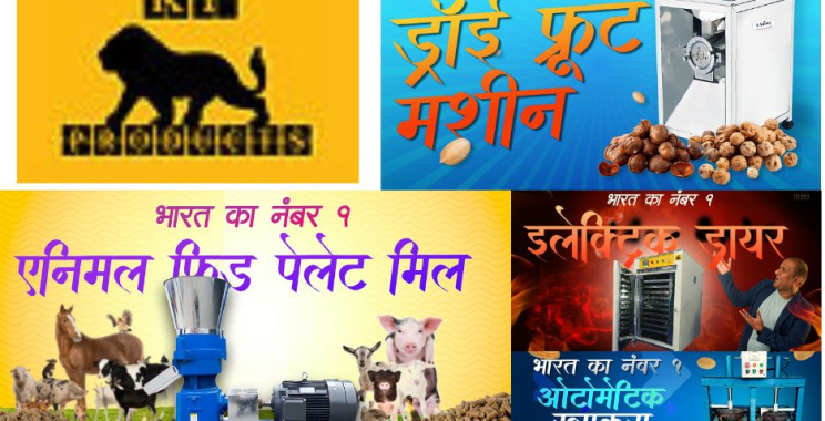 Efficient Semi Papad Machines for Your Production Line