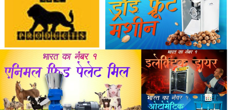 Efficient Semi Papad Machines for Your Production Line