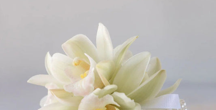 Charming Mini Bloomette Gift Bags for Auckland Deliveries