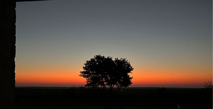 Explore Local Delights: Top Activities Around Pearsall RV Park