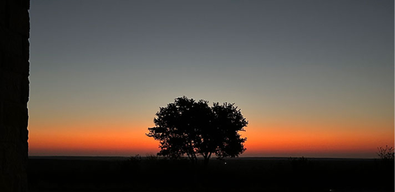 Explore Local Delights: Top Activities Around Pearsall RV Park