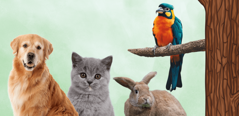 Compassionate Veterinary Care in Doha for Your Pets