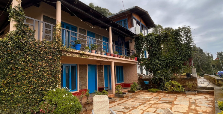 Wander the Misty Peaks: Quiet Forest Trails in Uttarakhand