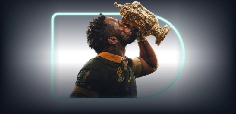 Reliable DSTV Repair Services in Mossel Bay – Local Experts