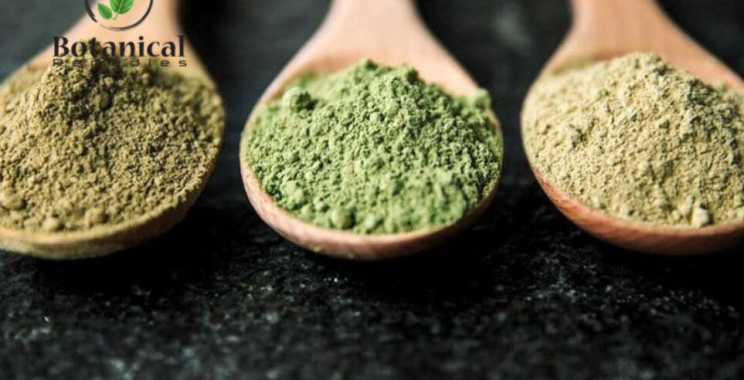 Explore Premium Kratom Extract Options Online for Trusted Quality