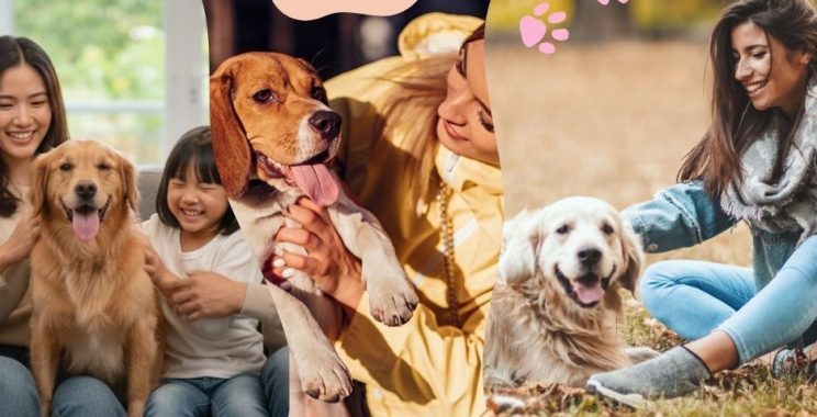 Compassionate end-of-life care for pets near you