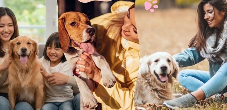 Compassionate end-of-life care for pets near you