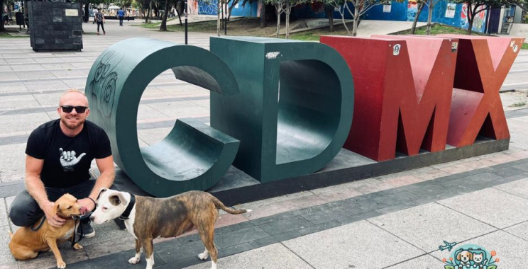 What You Need to Know Before Bringing Your Pet to the USA