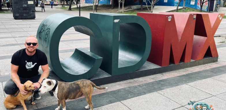 What You Need to Know Before Bringing Your Pet to the USA