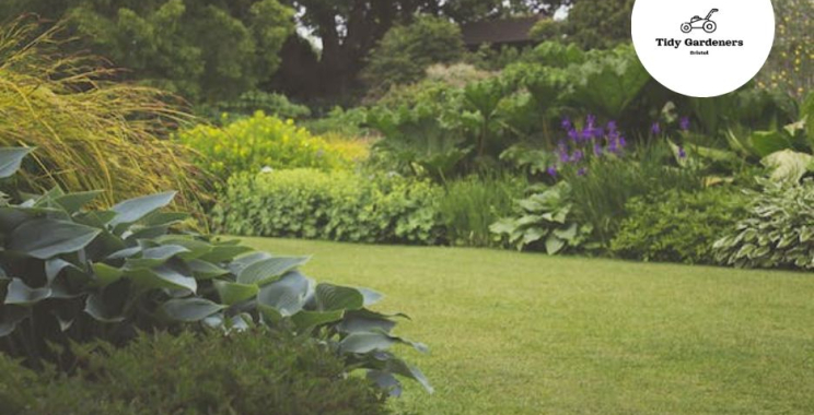 Refresh Your Outdoor Space with Expert Patio Cleaning in Bristol