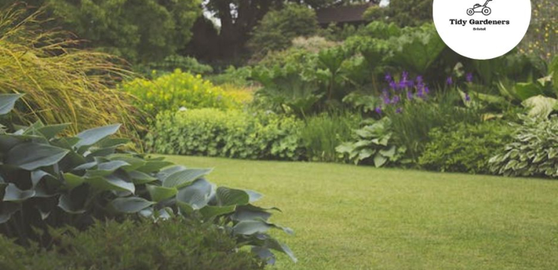 Refresh Your Outdoor Space with Expert Patio Cleaning in Bristol