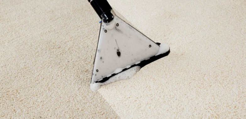 Refresh Your Home with Expert Carpet and Tile Cleaning