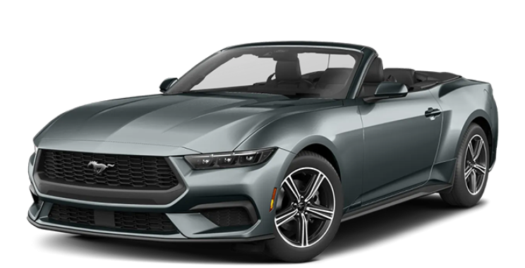 Explore St Maarten by car with ease and great value