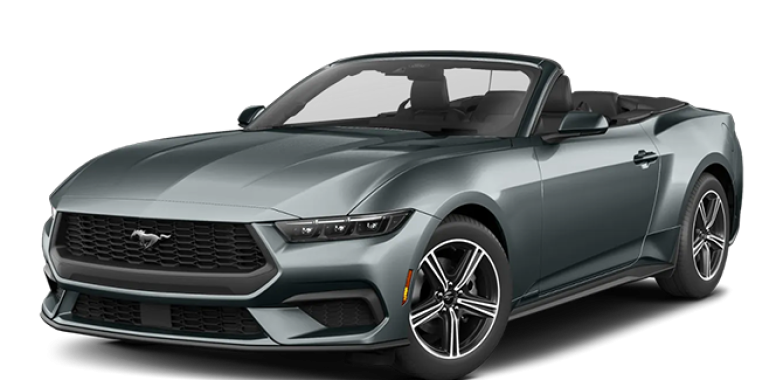 Explore St Maarten by car with ease and great value