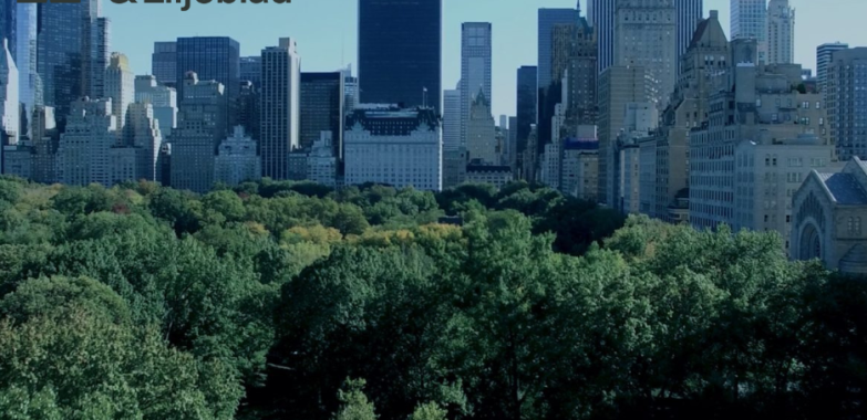 Företagets skatteefterlevnad – trygg och enkel väg