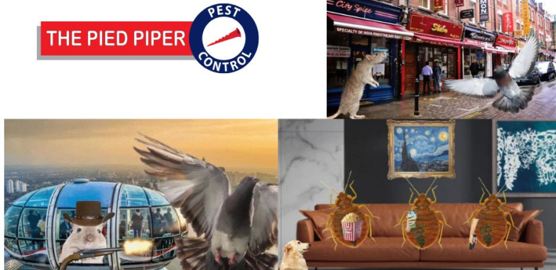 Expert pest solutions for homes and businesses in north London