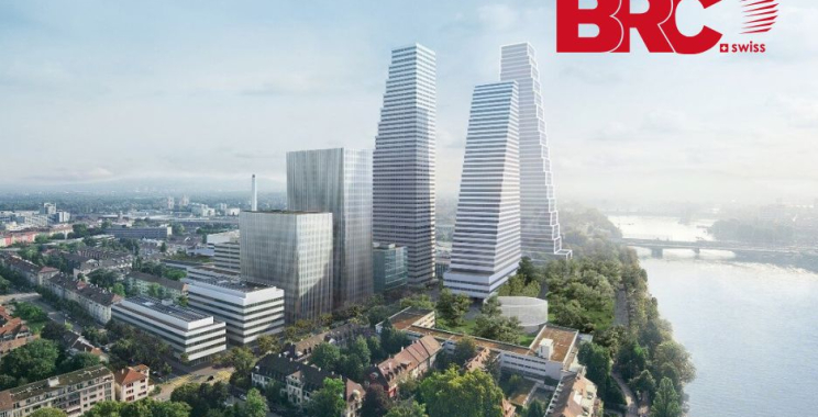 Massives Fundament: Lösungen für Stützmauern aus Pfählen erleben