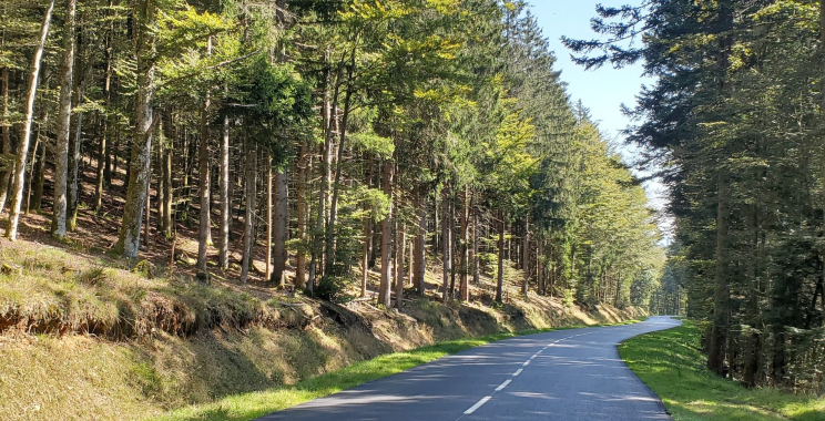 Find the Best UK Motorcycle Touring Companies