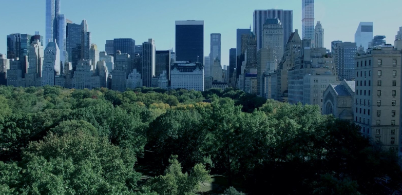 Unlocking Global Transparency: A Practical Guide