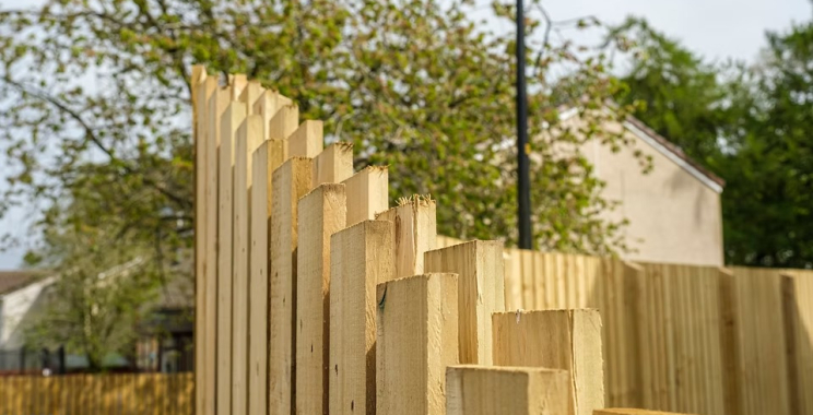 Transform Your Outdoor Space with Expert Paving and Landscaping Solutions