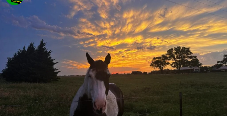 Chase America’s Skies: Thrilling Oklahoma Storm Tours