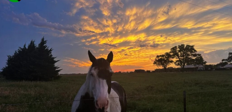 Chase America’s Skies: Thrilling Oklahoma Storm Tours