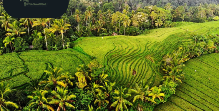 Explore Bali by bike: unforgettable guided tours and scenic routes