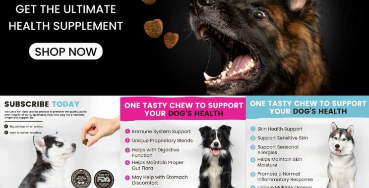 Nurture Your Dog’s Digestive Wellness Today
