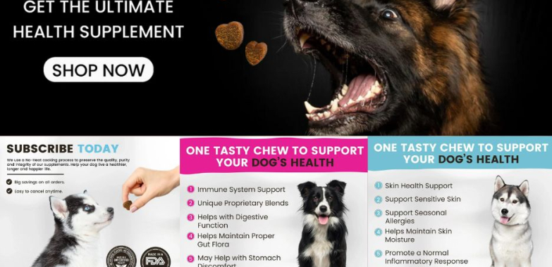Nurture Your Dog’s Digestive Wellness Today
