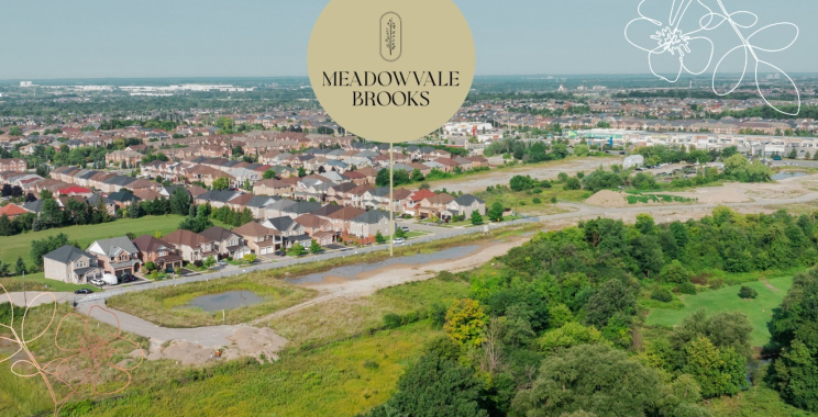 Meadowvale Brooks Mississauga | Mymeadowvalebrookshomes.ca