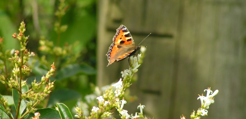 Transform Your Workplace with Stunning Landscape Design in Naples