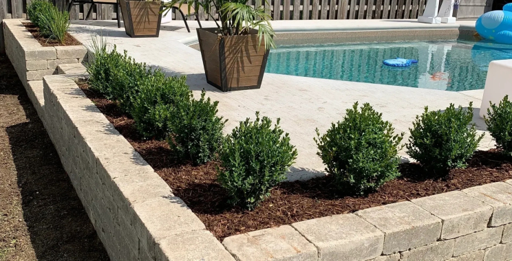 Dream Backyard Pools: Expert Design & Build Solutions