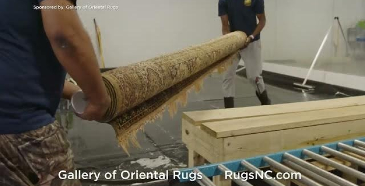 Expert Rug Care in Wilmington: Safe Cleaning Solutions for Your Home