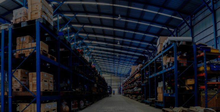 Expert shipping partners for efficient international logistics