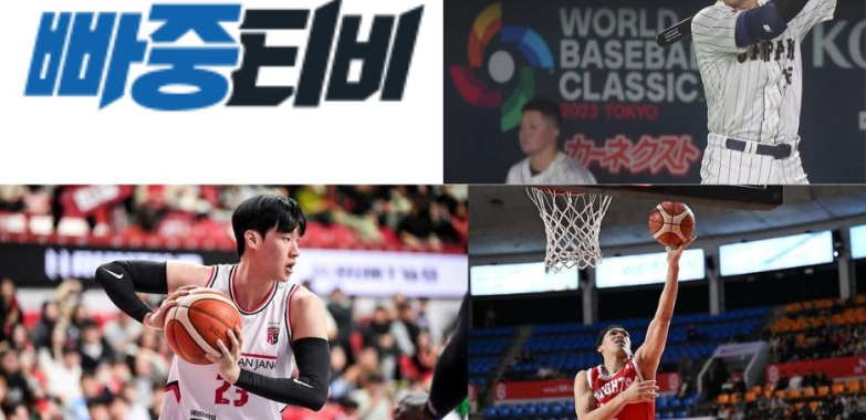 해외축구중계로 즐기는 생생한 경기 몰입감