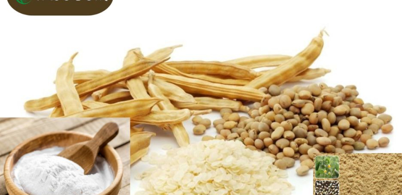 Reliable Hydraulic Fracturing Guar Gum Supplier