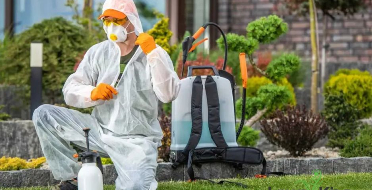 Organic Lawn Care Scarsdale: Eco-friendly green spaces