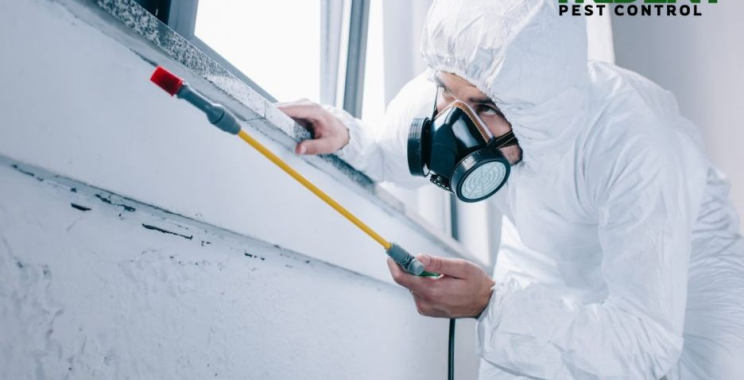 Trusted Pest Management for Homes and Businesses in Tarneit Area