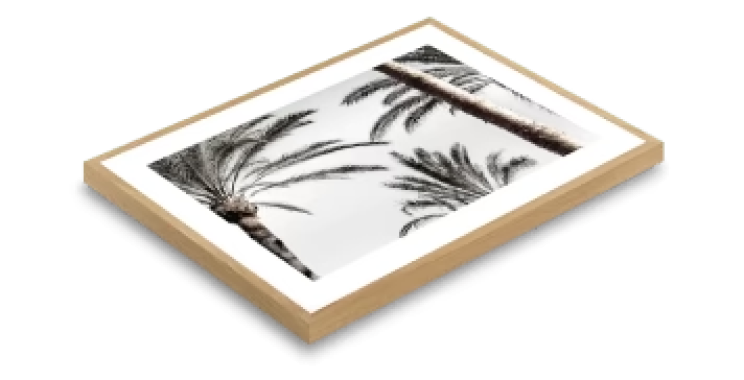 Timeless Australian-inspired Wall Art for Your Home