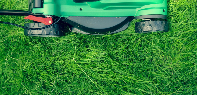 Revive Your Driveway: Expert Cleaning in Bristol – Safe, Efficient, Local